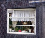 Kozijn voormalige begane grond woning, voor de restauratie.
              <br/>
              Gert-Jan Lobbes, 2016